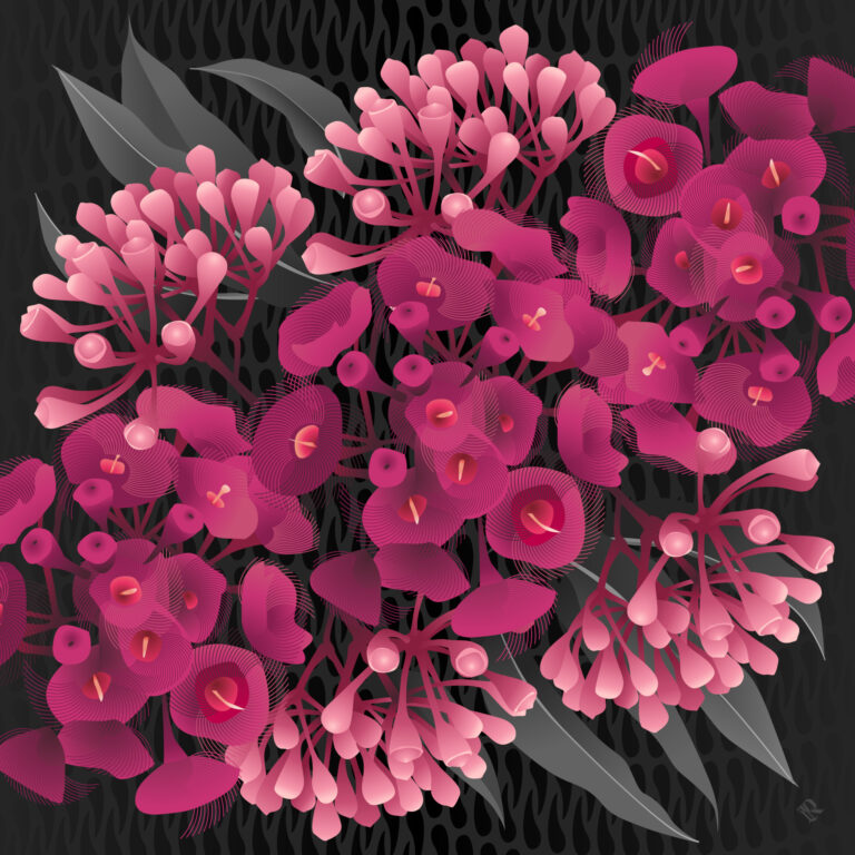 Floweringgum 03 Downscaled