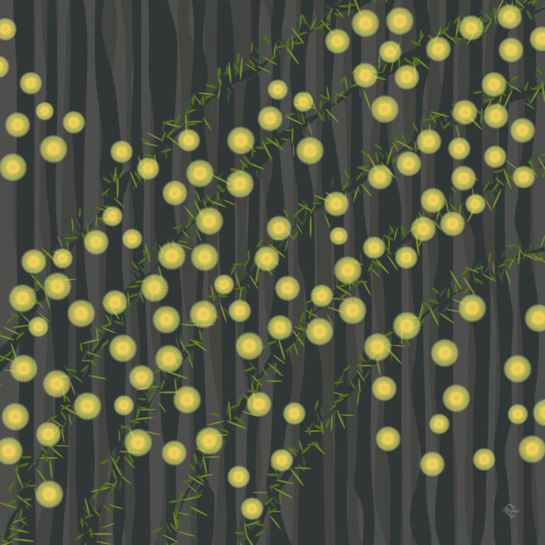 Retrospekt Wattle - Design