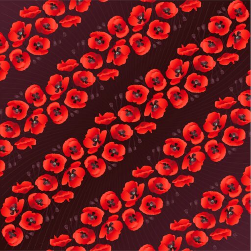 Scarf Poppiesdarkb 90cm 01
